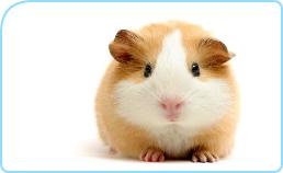 fotolia152821xlstd